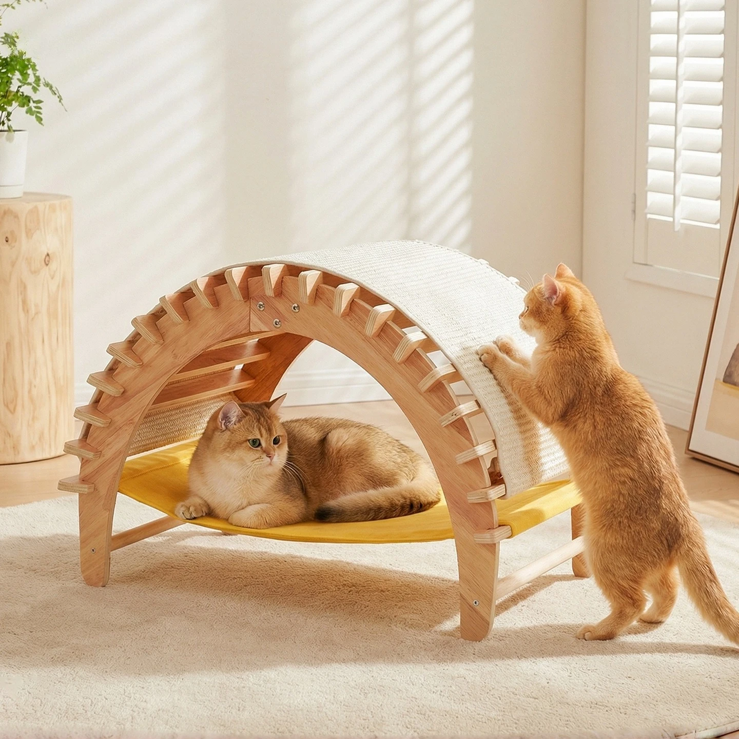 Wood Suitable for All Four Seasons Outdoor Portable Cat House Mat Pet Bed Cat Bed House Nest Mat Cattery Cat Scratching Pad
Wood Suitable for All Four Seasons Outdoor Portable Cat House Mat Pet Bed Cat Bed House Nest Mat Cattery Cat Scratching Pad