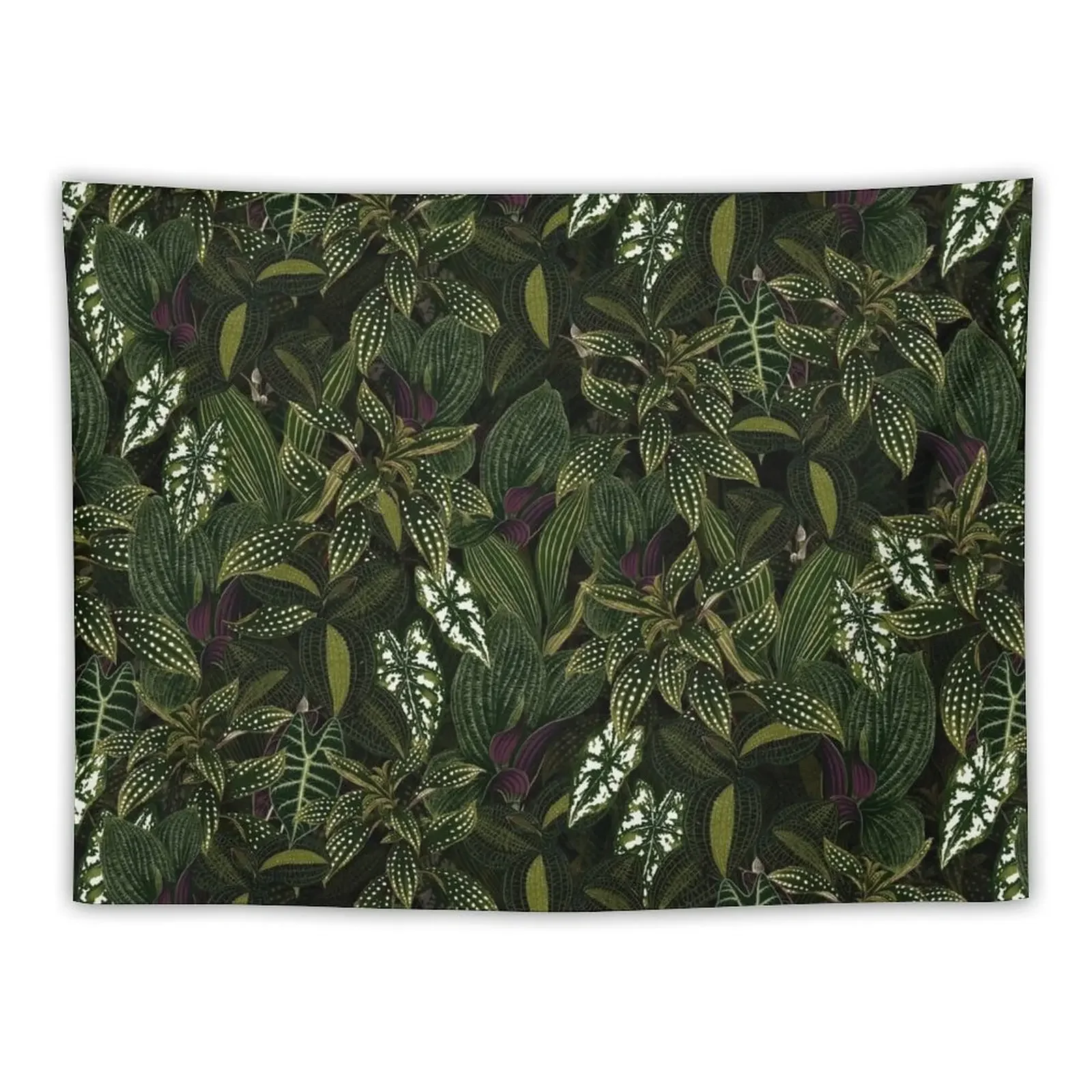 Mystic Exotic Botanical Night Garden Tapestry Room Aesthetic Home Decoration Wall Decor Hanging Tapestry
Mystic Exotic Botanical Night Garden Tapestry Room Aesthetic Home Decoration Wall Decor Hanging Tapestry