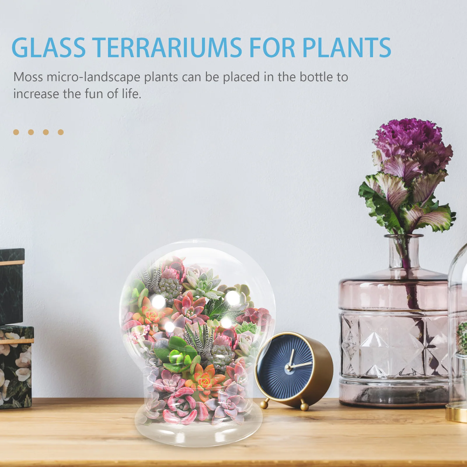 Glass Terrarium Jar with Stand Ecological Bottle for Indoor Plants Succulents Micro Landscaping Decor
Glass Terrarium Jar with Stand Ecological Bottle for Indoor Plants Succulents Micro Landscaping Decor