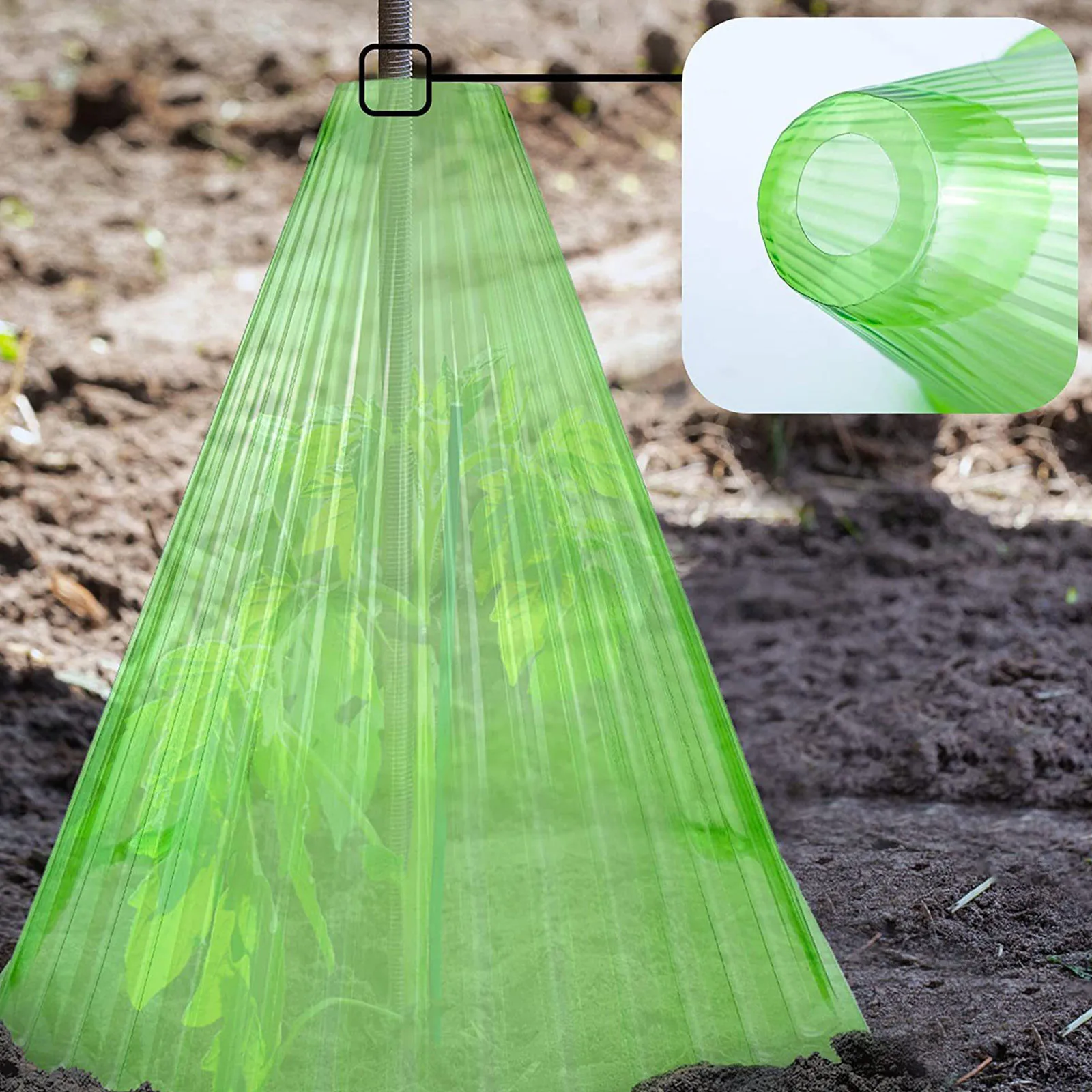 Reusable Square Shaped Bell Jar Protects Plants From Bird Frost And Damage Growth Planting Tent Reusable Square Use Plant Tool
Reusable Square Shaped Bell Jar Protects Plants From Bird Frost And Damage Growth Planting Tent Reusable Square Use Plant Tool