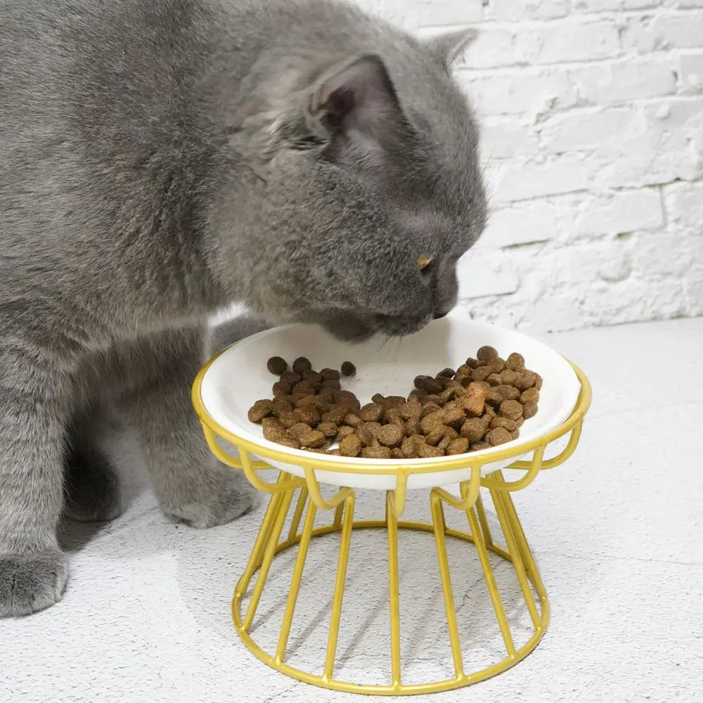 Ceramic Raised Pet Bowl Food Water Treats for Cats & Dogs Supplies Outdoor Feeding Drinking Accessories Doggie Cat Stand Bowl
Ceramic Raised Pet Bowl Food Water Treats for Cats & Dogs Supplies Outdoor Feeding Drinking Accessories Doggie Cat Stand Bowl