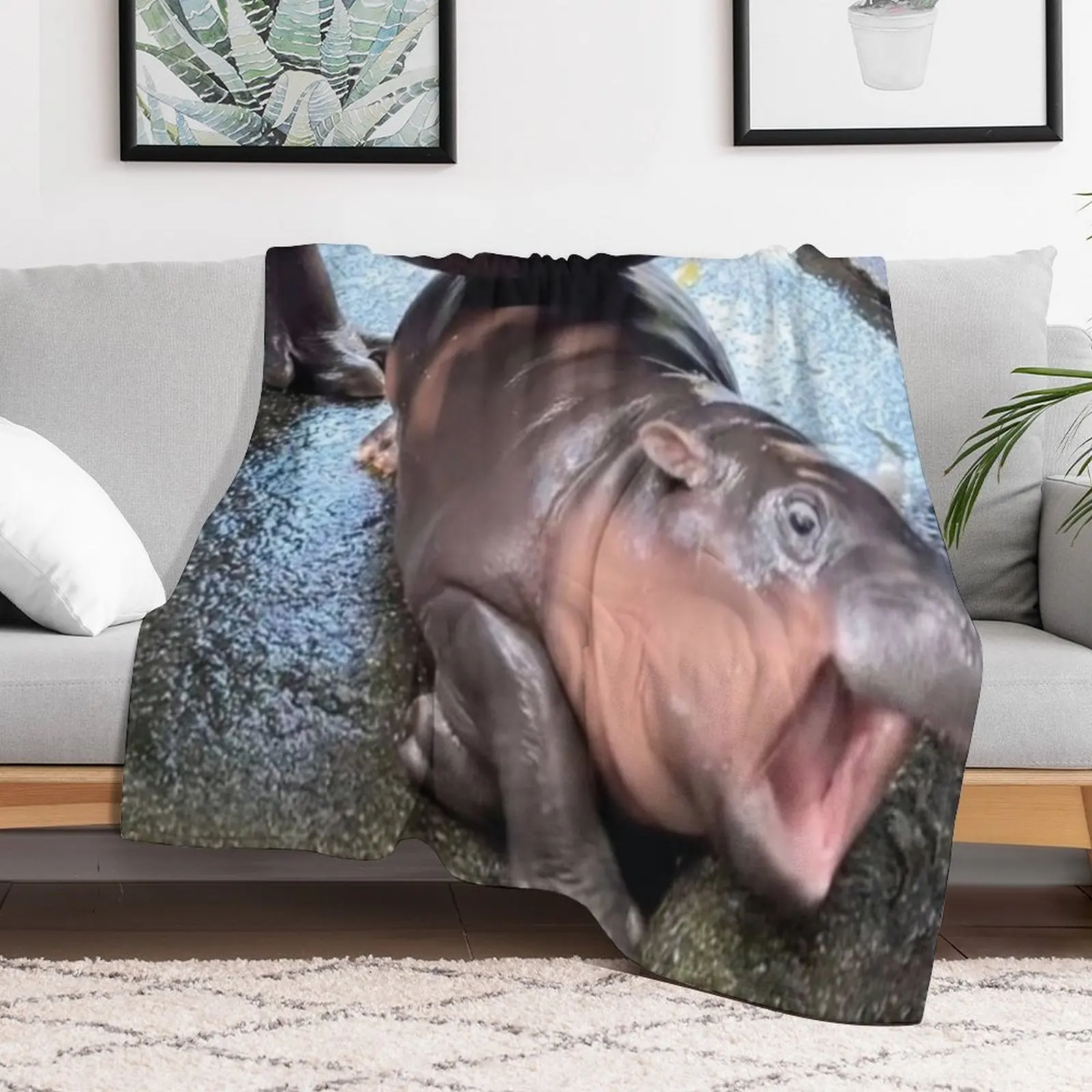 Moo Deng - Drama Powers Throw Blanket Luxury Heavy valentine gift ideas Blankets
Moo Deng - Drama Powers Throw Blanket Luxury Heavy valentine gift ideas Blankets