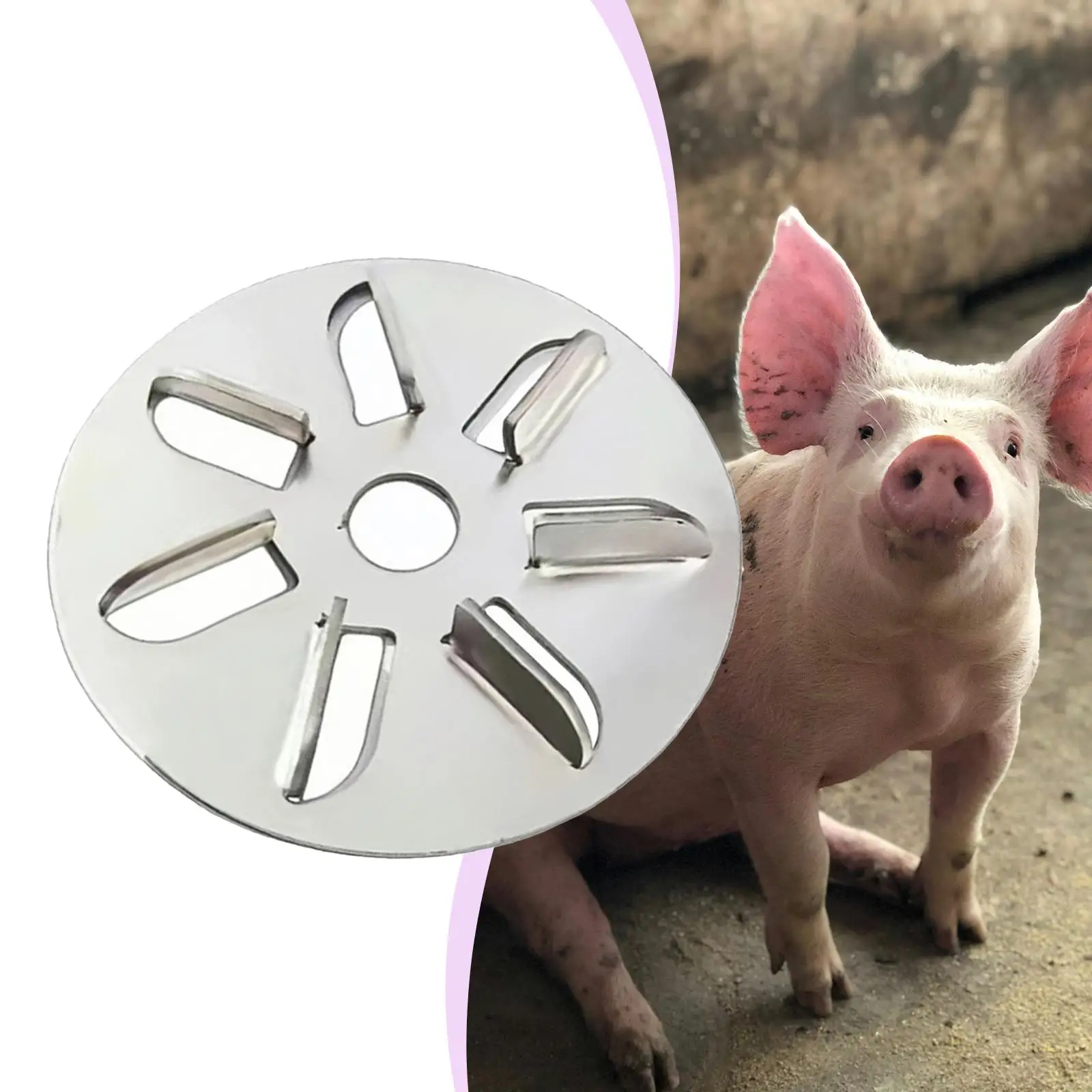 Скребок для волос свиней, металл, экономия труда, портативный, средство для удаления волос свиней, диск для удаления волос животных для петухов, фермы, мясника свиней
Скребок для волос свиней, металл, экономия труда, портативный, средство для удаления волос свиней, диск для удаления волос животных для петухов, фермы, мясника свиней