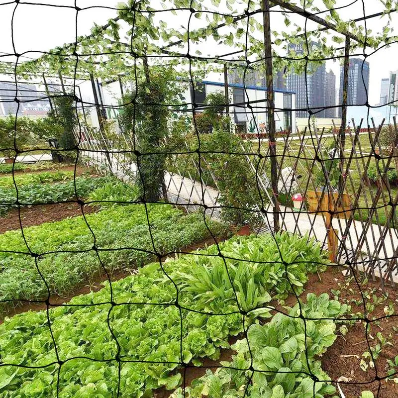 Inch Polyethylene AntiBird Net Sturdy Nylon Square Mesh Poultry Net Breeding Net Heavy Duty Bird Netting For Garden Supplies
Inch Polyethylene AntiBird Net Sturdy Nylon Square Mesh Poultry Net Breeding Net Heavy Duty Bird Netting For Garden Supplies