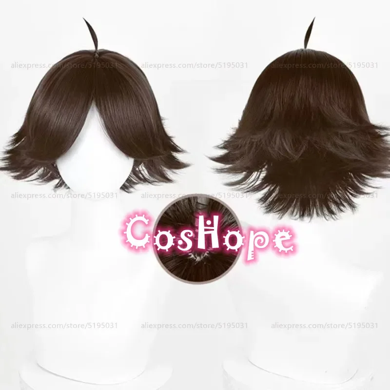 Rintaro Suna Cosplay Wig 30cm Short Brown Wig Cosplay Anime Cosplay Wigs Heat Resistant Synthetic Wigs
Rintaro Suna Cosplay Wig 30cm Short Brown Wig Cosplay Anime Cosplay Wigs Heat Resistant Synthetic Wigs