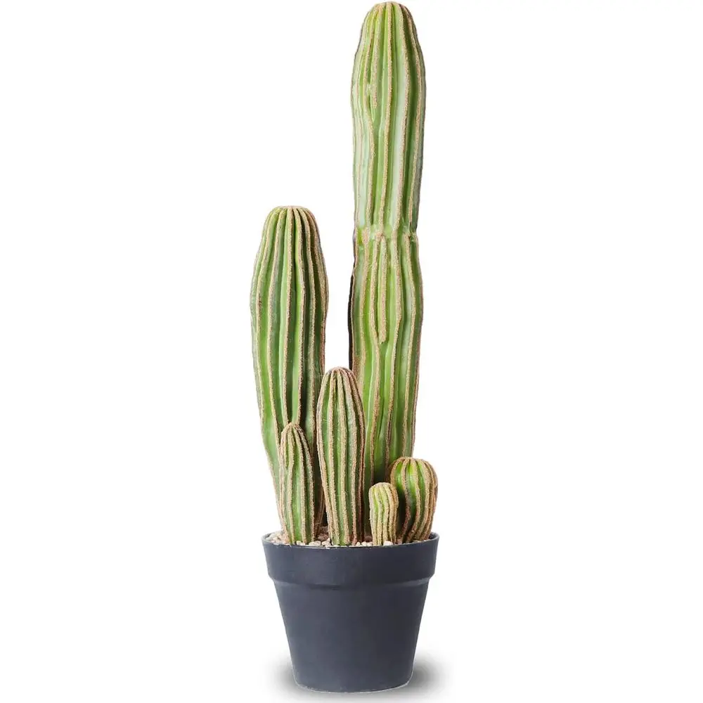 24 Inch Tall Artificial Cactus for Home, Office, or Garden Decor
24 Inch Tall Artificial Cactus for Home, Office, or Garden Decor