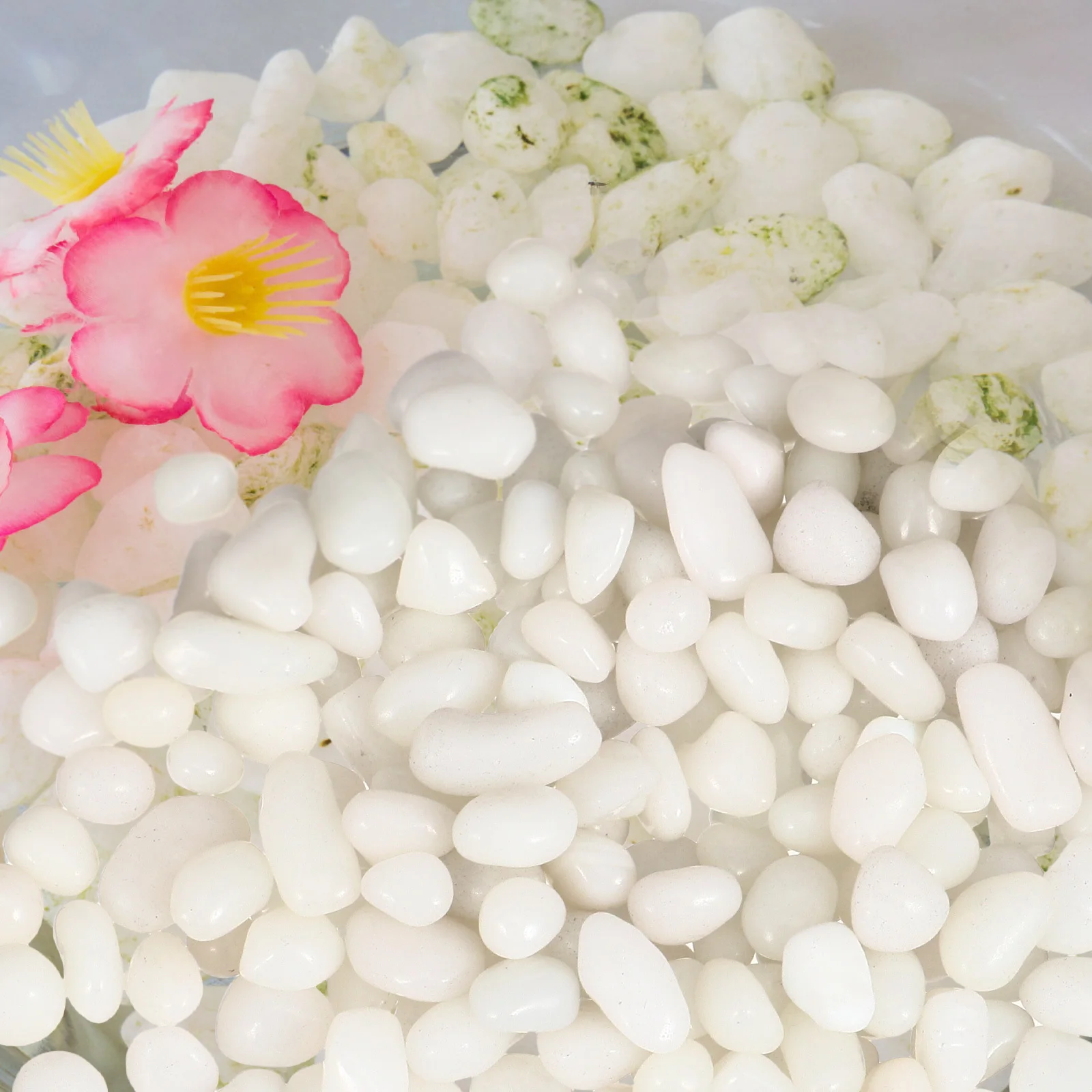 1Set Fish Tank Bottom Sand Aquarium Colored Stone Crystal Durable Decor Ornament Fish Tank Landscape Aquarium Landscape Decor
1Set Fish Tank Bottom Sand Aquarium Colored Stone Crystal Durable Decor Ornament Fish Tank Landscape Aquarium Landscape Decor