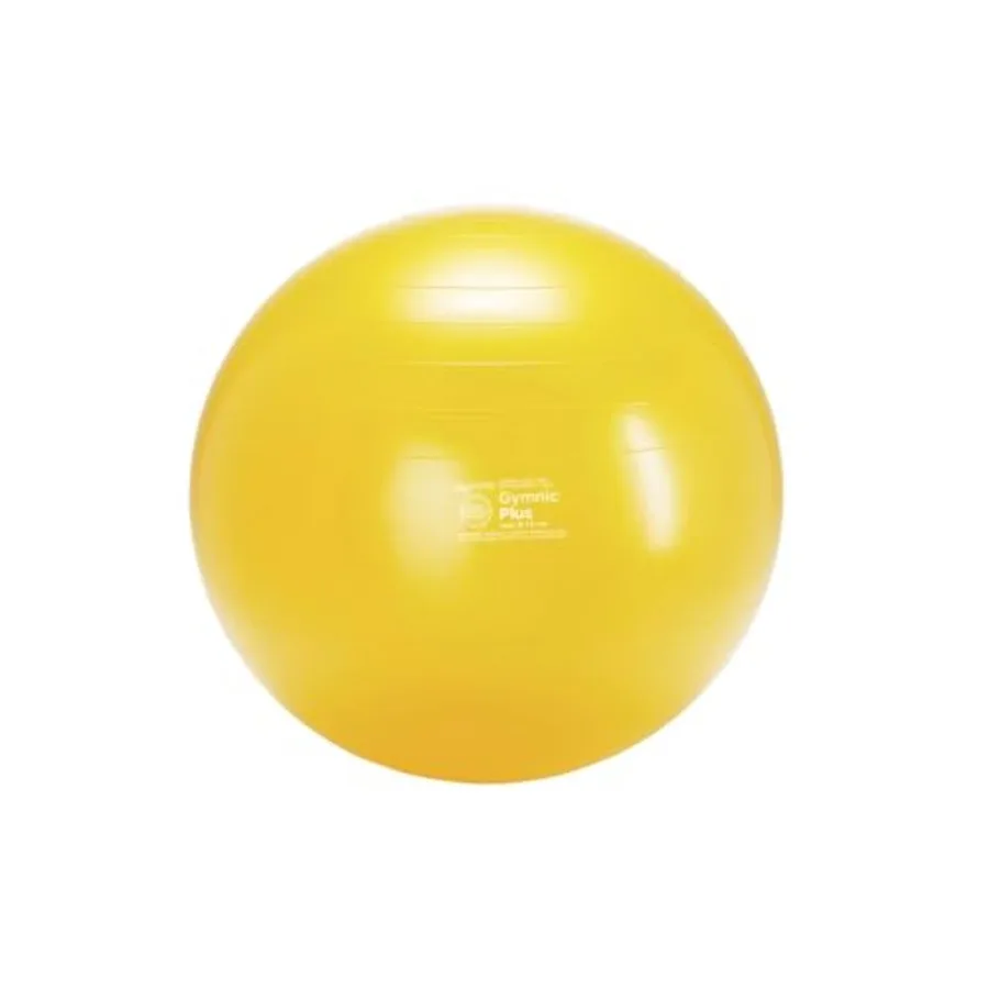 Classic Plus Burst-Resistant Exercise Ball
Classic Plus Burst-Resistant Exercise Ball