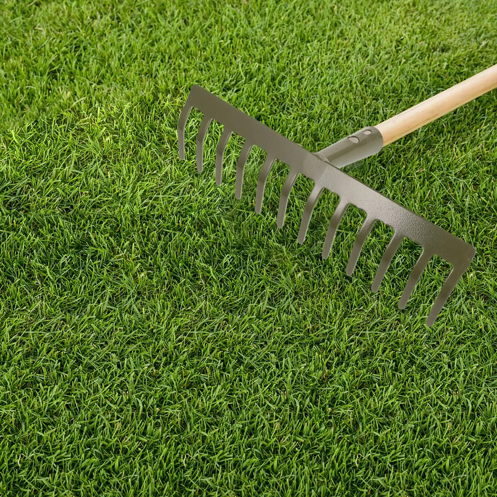 Garden 12 Ergonomic Handle Loosening Hand Garden Tool Soil Rake Leaf Grabber Lawn Leaf Grabber Rake Leveling Tools
Garden 12 Ergonomic Handle Loosening Hand Garden Tool Soil Rake Leaf Grabber Lawn Leaf Grabber Rake Leveling Tools