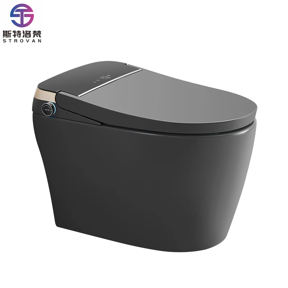 HKZX High Quality Watermark Gray Ceramic Intelligent Toilet Automatic Smart Toilet
HKZX High Quality Watermark Gray Ceramic Intelligent Toilet Automatic Smart Toilet