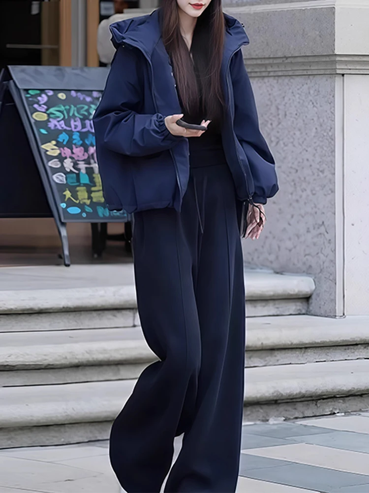 Модный женский комплект: кардиган с длинными рукавами и брюки с высокой талией, однотонный, в корейском стиле, свободного кроя, из хлопка.
Модный женский комплект: кардиган с длинными рукавами и брюки с высокой талией, однотонный, в корейском стиле, свободного кроя, из хлопка.