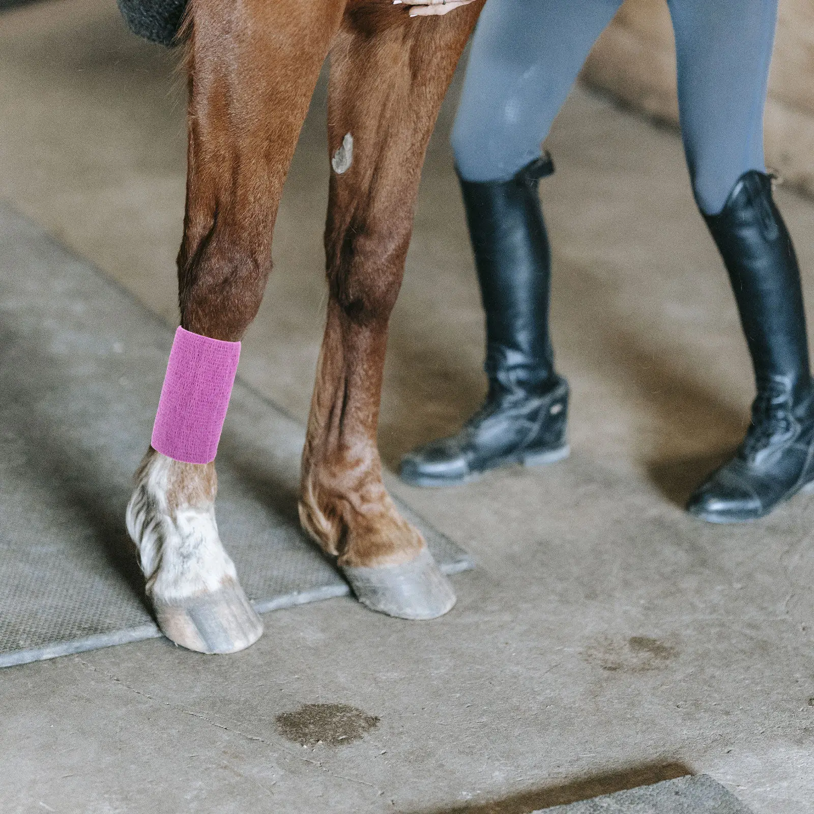 1 Roll Horse Bandage Elastic Self Sticking Wrap Comfortable Breathable Professional Multi-Function Portable Horse Leg Protection
1 Roll Horse Bandage Elastic Self Sticking Wrap Comfortable Breathable Professional Multi-Function Portable Horse Leg Protection