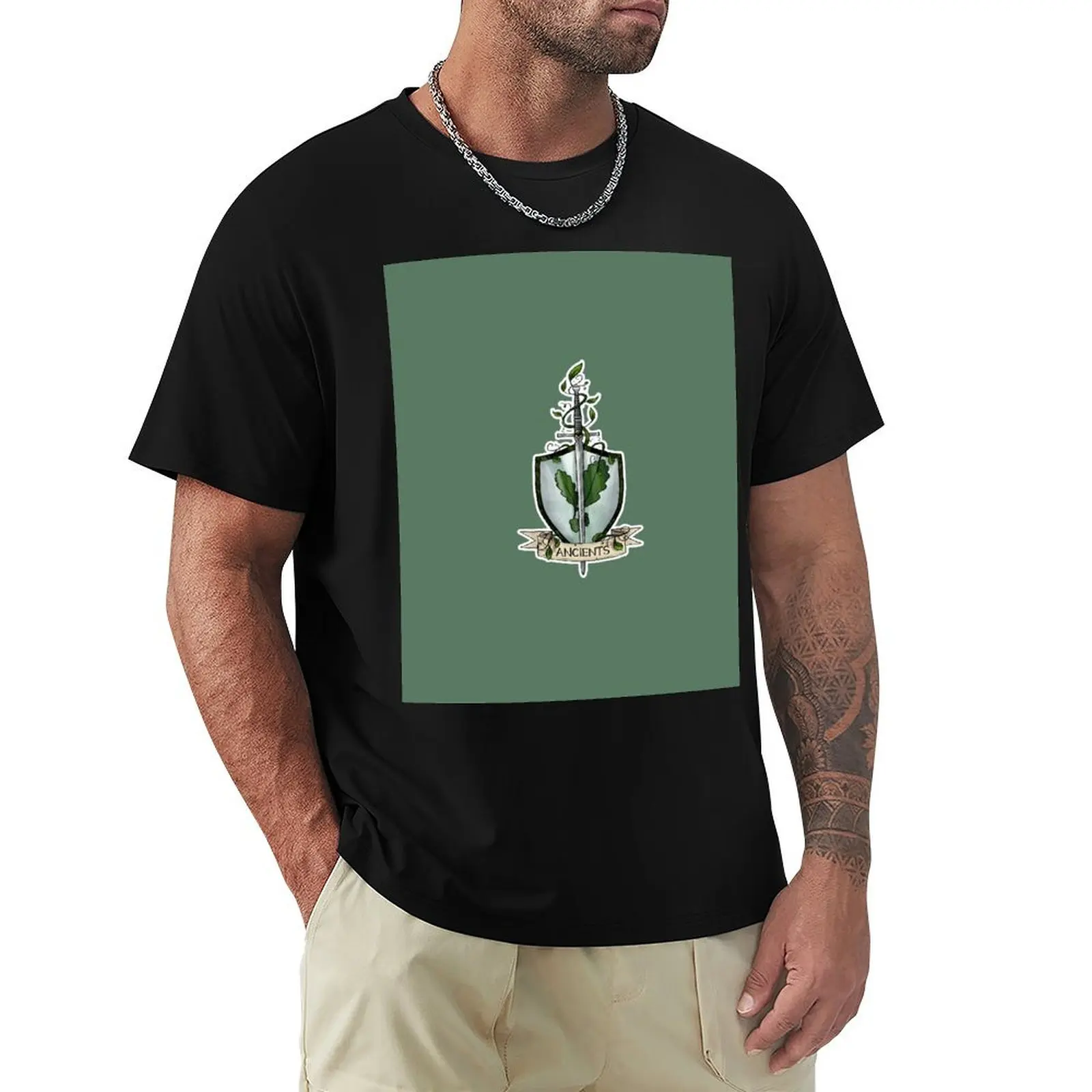 Paladin - Oath of the Ancients T-Shirt Simple Casual Short Sleeve Cotton T-Shirt
Paladin - Oath of the Ancients T-Shirt Simple Casual Short Sleeve Cotton T-Shirt