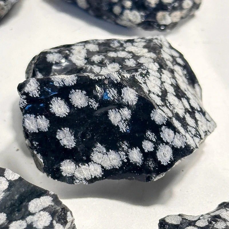 1pc/100g Natural Snowflake Obsidian Raw Stone Best Holiday Gift Bohemian DIY Decoration Collection Interior Yard Decoration
1pc/100g Natural Snowflake Obsidian Raw Stone Best Holiday Gift Bohemian DIY Decoration Collection Interior Yard Decoration