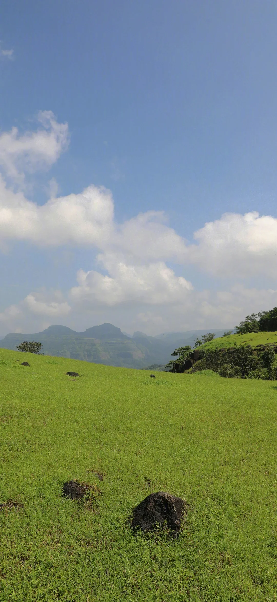 Android 8Core 256G Touch HD Screen For AUDI A8 2004-2012 GPS Navigation Car DVD DSP Multimedia Player Stereo Autoradio Head Unit
Android 8Core 256G Touch HD Screen For AUDI A8 2004-2012 GPS Navigation Car DVD DSP Multimedia Player Stereo Autoradio Head Unit