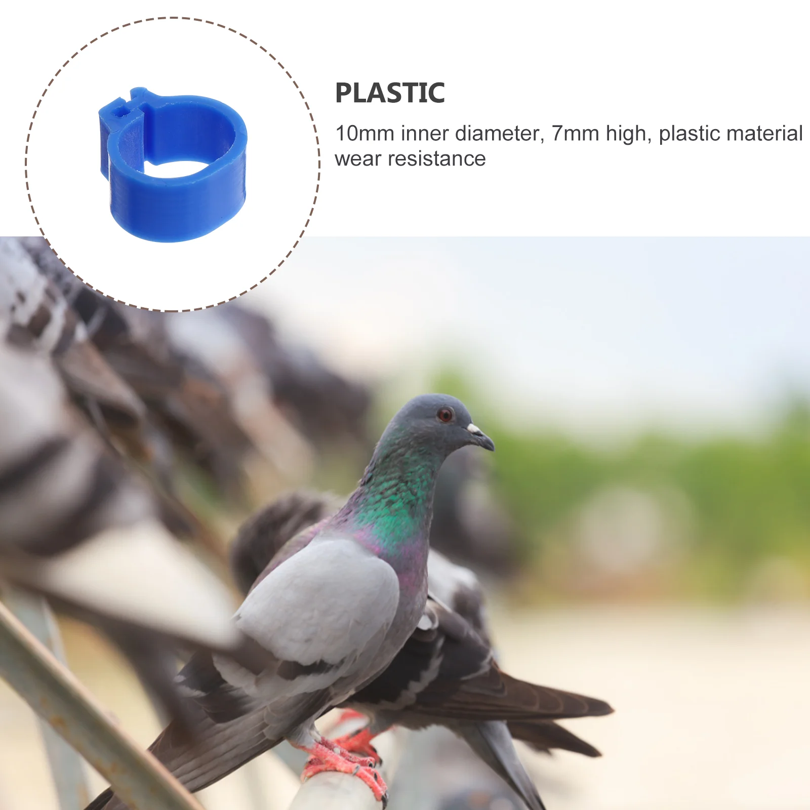 100 pcs Pigeon Ring Plastic Leg Bands for Doves Baby Bird Lightweight Portable Identification Management Breeding Tools Vitamin
100 pcs Pigeon Ring Plastic Leg Bands for Doves Baby Bird Lightweight Portable Identification Management Breeding Tools Vitamin