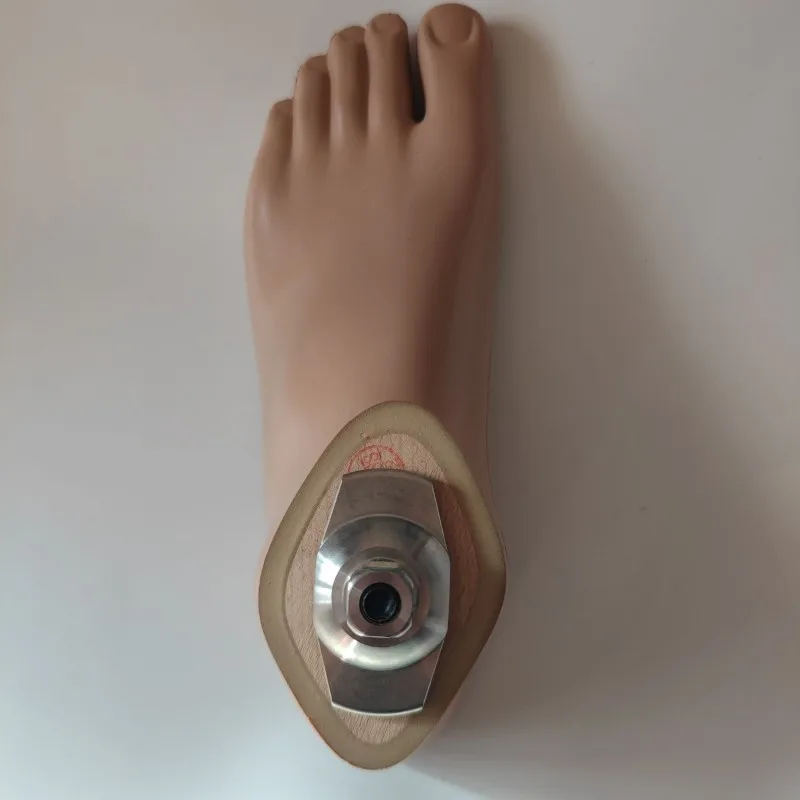 Set combination Prosthetic Foot Board Static Ankle 22-27cm Accessories Parts Artificial Limbs Ortheses Prostheses Sockets Fasten
Set combination Prosthetic Foot Board Static Ankle 22-27cm Accessories Parts Artificial Limbs Ortheses Prostheses Sockets Fasten