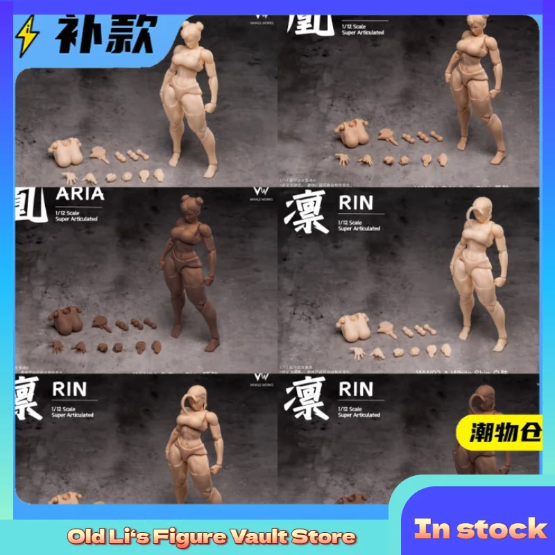 В наличии: Коллекционная фигурка-игрушка Phoenix ARIA RIN 1/12, женское тело 6 дюймов, серия Whale Workshop, подарок
В наличии: Коллекционная фигурка-игрушка Phoenix ARIA RIN 1/12, женское тело 6 дюймов, серия Whale Workshop, подарок