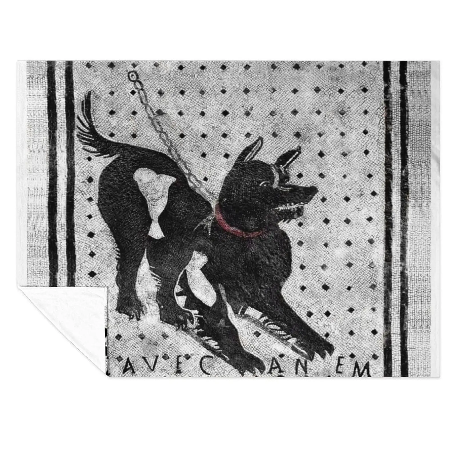 Cave Canem - Beware of Dog - Pompeii Latin Mosaic Throw Blanket Thins Beautifuls Plaid on the sofa Hairy Blankets
Cave Canem - Beware of Dog - Pompeii Latin Mosaic Throw Blanket Thins Beautifuls Plaid on the sofa Hairy Blankets