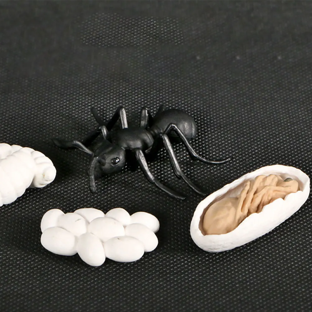 Kids Classroom Educational Toys Animal Growth Stage Model Adornment Life Cycle Models
Kids Classroom Educational Toys Animal Growth Stage Model Adornment Life Cycle Models