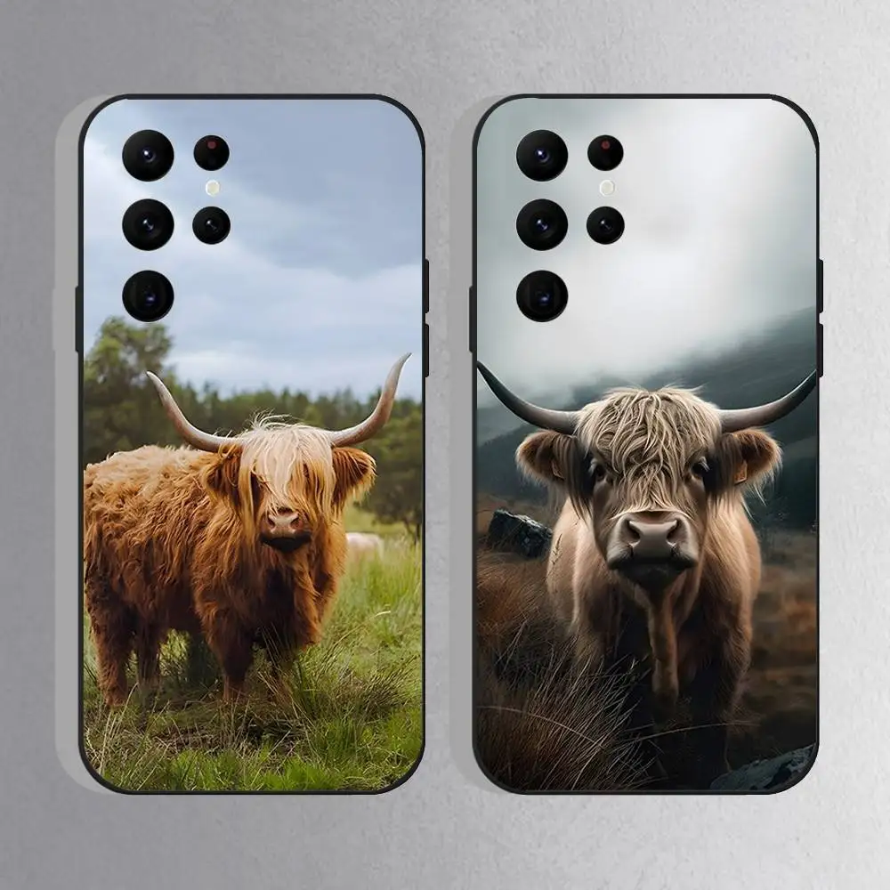 Cute Highland Cow Phone Case For Samsung S10,S21,FE,S21 ,S26,S25,S24,S23,Ultra,S9,S22,Plus Black Shockproof TPU
Cute Highland Cow Phone Case For Samsung S10,S21,FE,S21 ,S26,S25,S24,S23,Ultra,S9,S22,Plus Black Shockproof TPU