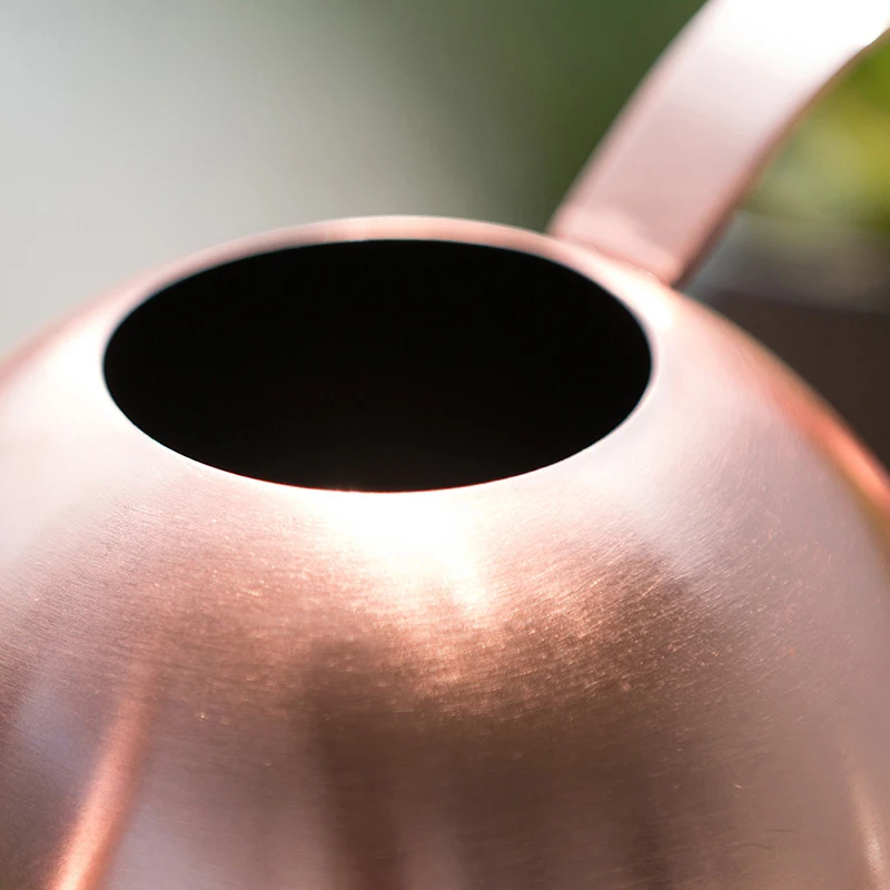 Watering Can For Indoor Stainless Steel Long-Mouth Watering Home Garden Bonsai Plant
Watering Can For Indoor Stainless Steel Long-Mouth Watering Home Garden Bonsai Plant