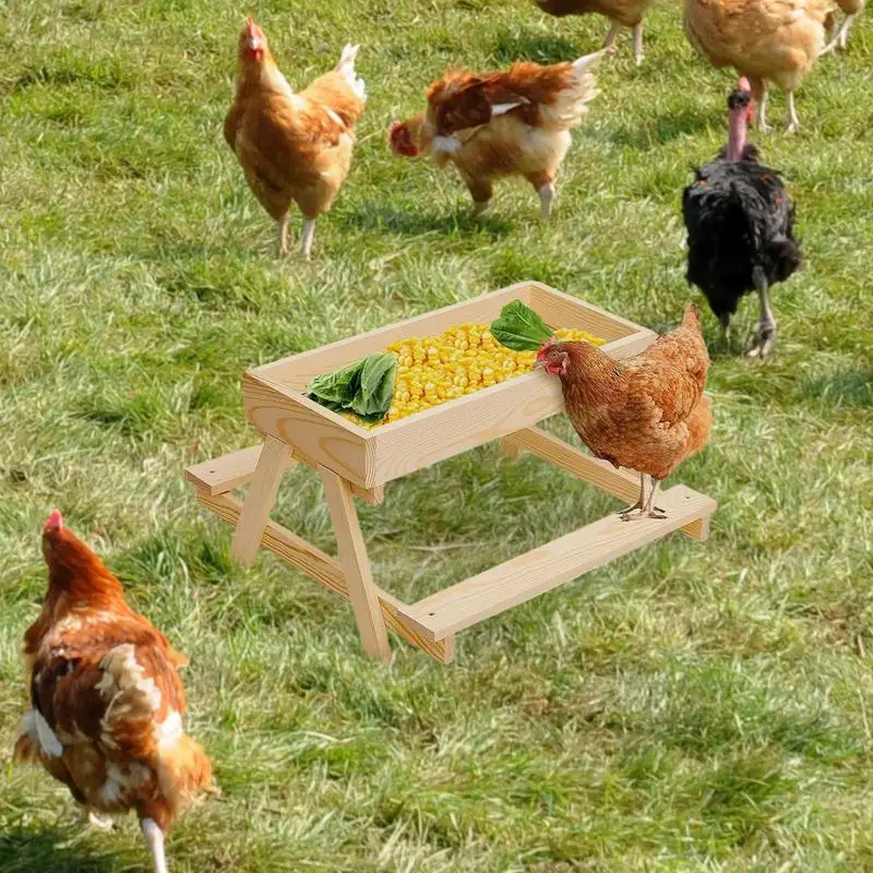 Chicken Picnic Table Feeder Mesh Bottom Chicken Table Wooden Supplies Stand For Backyard Outdoor Use Keep Food Fresh Dry Turkey
Chicken Picnic Table Feeder Mesh Bottom Chicken Table Wooden Supplies Stand For Backyard Outdoor Use Keep Food Fresh Dry Turkey