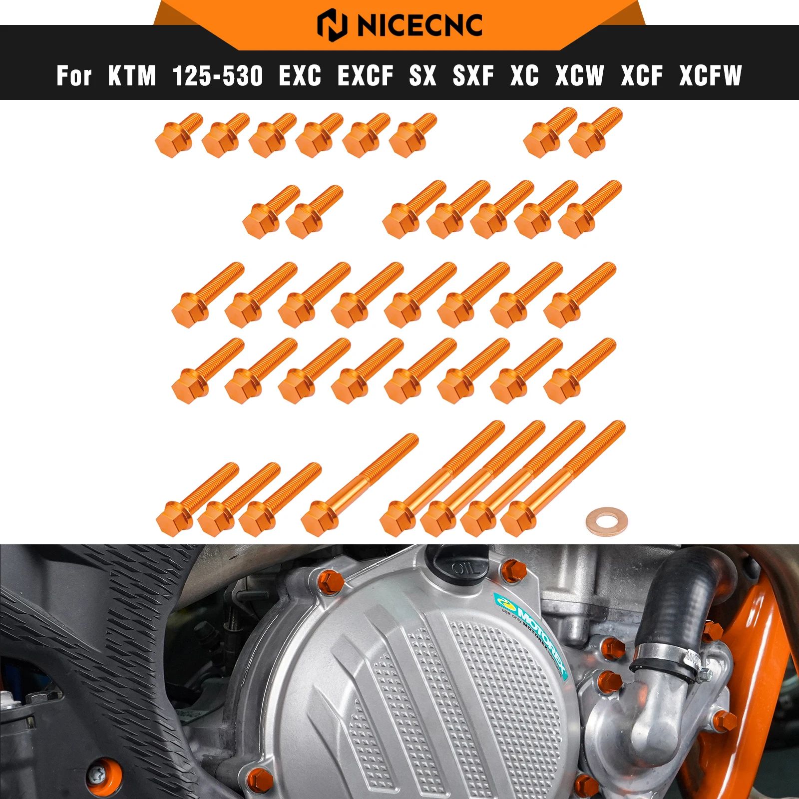 NICECNC For KTM EXC 300 EXC 250 XCW 250 2017-2022 39PCS M5 M6 Engine Bolts Kit Clutch Ignition Cover Water Pump Oil Filter Cover
NICECNC For KTM EXC 300 EXC 250 XCW 250 2017-2022 39PCS M5 M6 Engine Bolts Kit Clutch Ignition Cover Water Pump Oil Filter Cover
