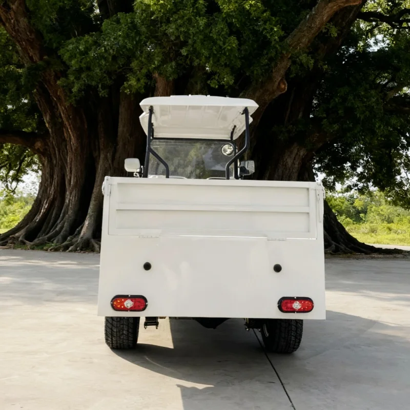 High Performance Factory Supply Chinese 72V Lithium 2 Seater Club Car For Adult Electric Folding Cargo Cart With Rear Cargo Box
High Performance Factory Supply Chinese 72V Lithium 2 Seater Club Car For Adult Electric Folding Cargo Cart With Rear Cargo Box