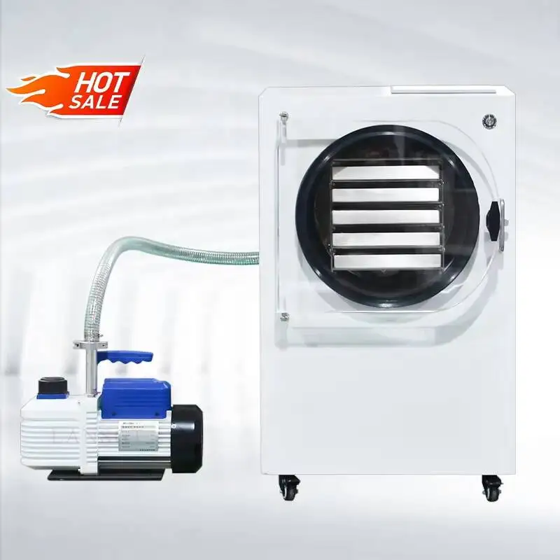 High-Efficiency 1 Cubic Meter Freeze Ryer With Intelligent Touch Screen Control For Foo Processing, Factory Price, LANSGT