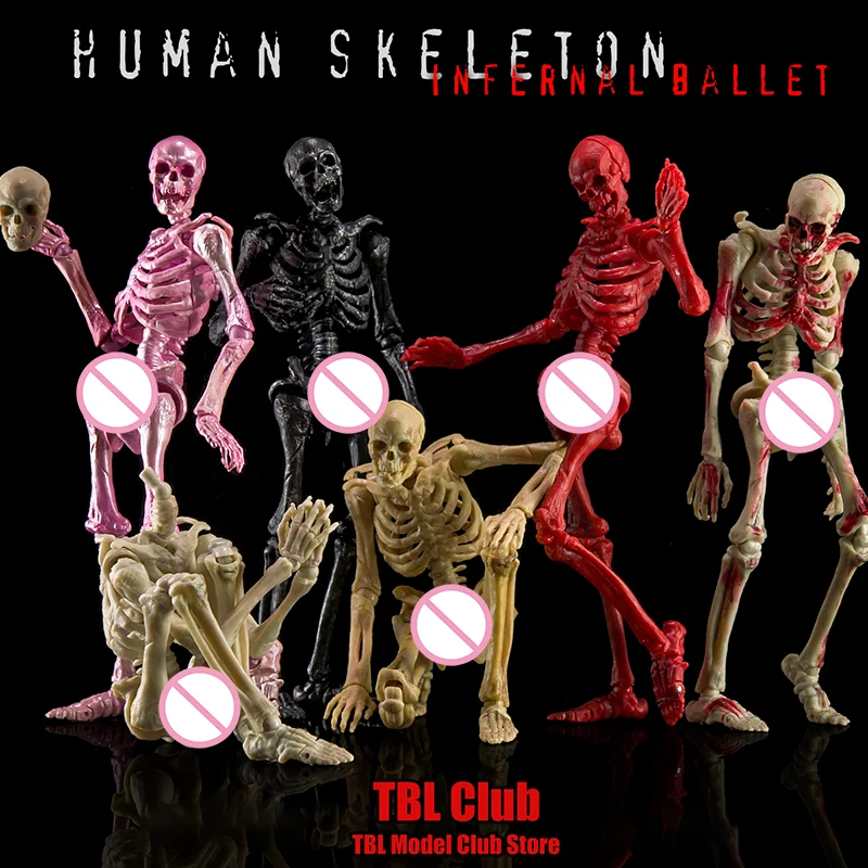 Pre Stock 1/12 Scale 6 Styles Skull Human Skeleton Super Movable Male Body For 6-inch Action Figure Soldier Height About 17CM
Pre Stock 1/12 Scale 6 Styles Skull Human Skeleton Super Movable Male Body For 6-inch Action Figure Soldier Height About 17CM