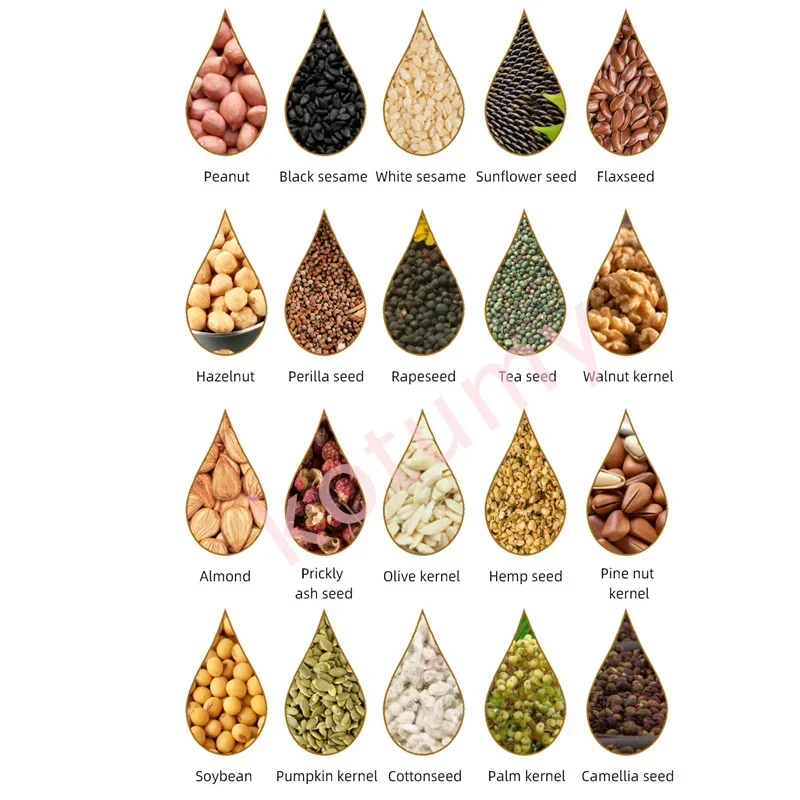 Stainless Steel Electric Oil Press Machine Automatic Oil Extractor Pressing Peanut Sesame Seeds Walnuts Olive Kernel Canola
Stainless Steel Electric Oil Press Machine Automatic Oil Extractor Pressing Peanut Sesame Seeds Walnuts Olive Kernel Canola