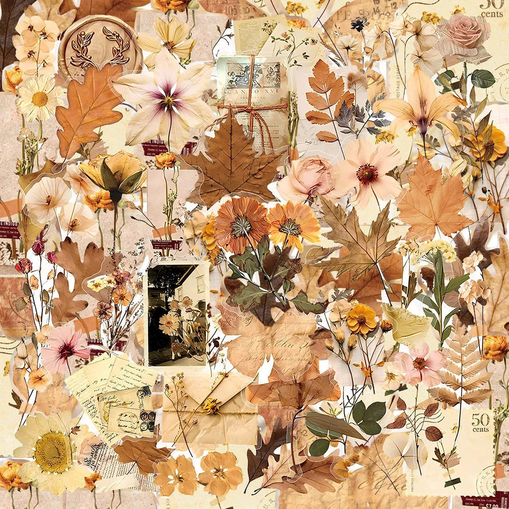 10/30/50pcs Transparent Dried Flower Leaf Specimens Stickers Aesthetic Retro Graffiti Decal for Scrapbook Guitar Luggage Sticker
10/30/50pcs Transparent Dried Flower Leaf Specimens Stickers Aesthetic Retro Graffiti Decal for Scrapbook Guitar Luggage Sticker