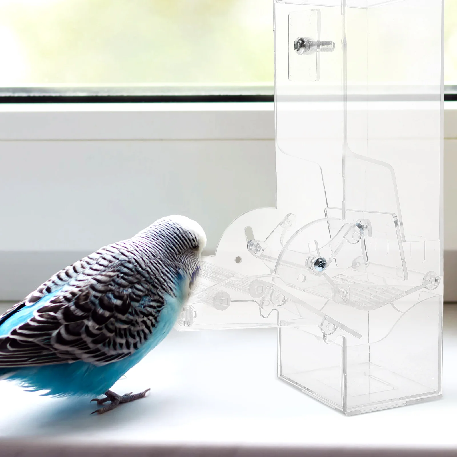 Parrot Feeder Square Container Bird Feeding Station Automatic Tray Small Acrylic Cage Easy Clean Removable Pet Supplies Bird
Parrot Feeder Square Container Bird Feeding Station Automatic Tray Small Acrylic Cage Easy Clean Removable Pet Supplies Bird
