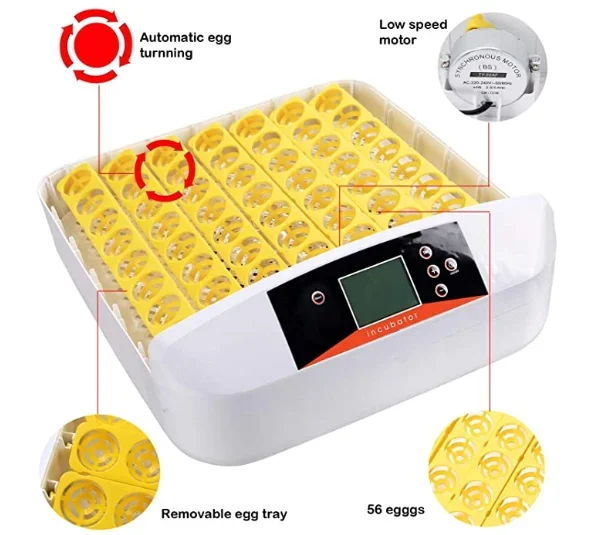 HHD Hot Selling Fully Automatic Chicken 56 Eggs Incubator Fot Home Use Egg Incubators
HHD Hot Selling Fully Automatic Chicken 56 Eggs Incubator Fot Home Use Egg Incubators