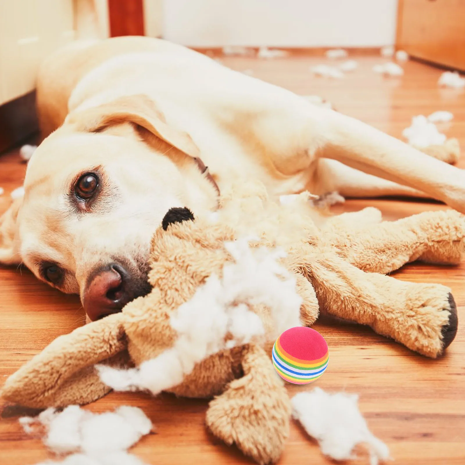 10Pcs High-Visibility Eva Floating Rainbow Ball Pet Interactive Fetch Chewing Training Exercise Stress Relief Toy
10Pcs High-Visibility Eva Floating Rainbow Ball Pet Interactive Fetch Chewing Training Exercise Stress Relief Toy