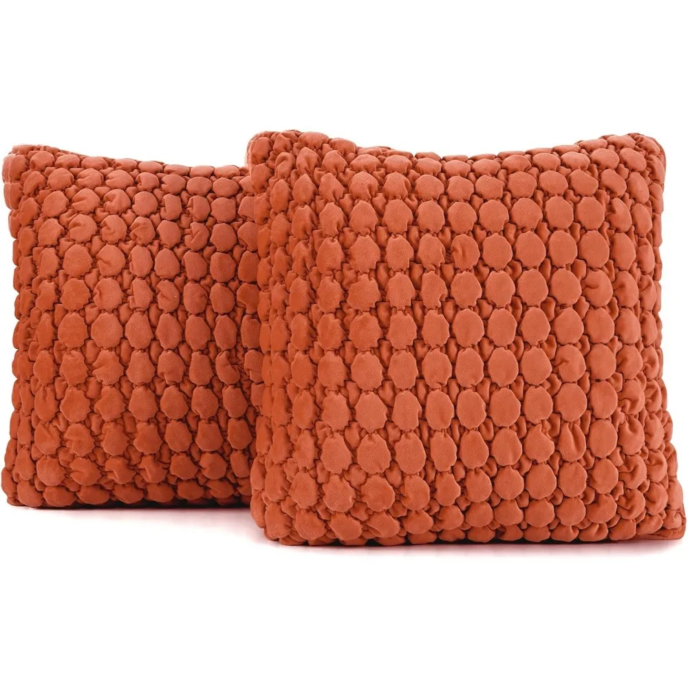 Пара бархатных квадратных наволочек в стиле фермерского дома размером 18x18 дюймов с пузырьковой текстурой
Пара бархатных квадратных наволочек в стиле фермерского дома размером 18x18 дюймов с пузырьковой текстурой