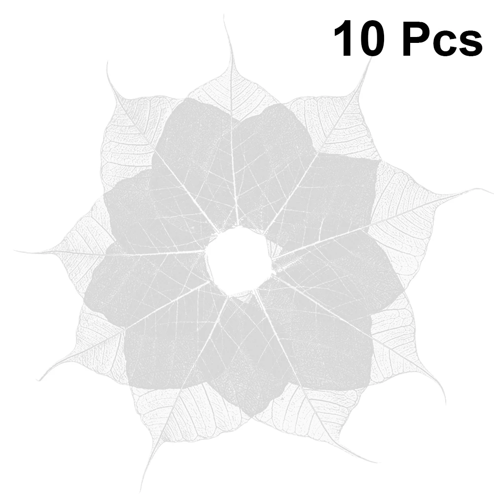 10 Pcs Leaf Vein Bookmark Materials Plant Leaves Craft Project Supplies Dried Specimen DIY Accessories Photo Albums
10 Pcs Leaf Vein Bookmark Materials Plant Leaves Craft Project Supplies Dried Specimen DIY Accessories Photo Albums