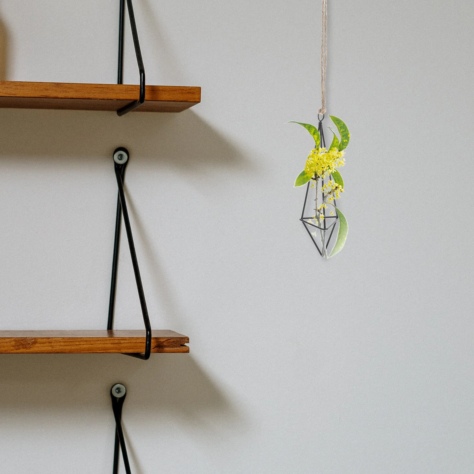 Geometric Iron Air Plant Holder Hanging Metal Stand Decorative Wall Shelf for Home Office Greenery Display Unique Planter
Geometric Iron Air Plant Holder Hanging Metal Stand Decorative Wall Shelf for Home Office Greenery Display Unique Planter