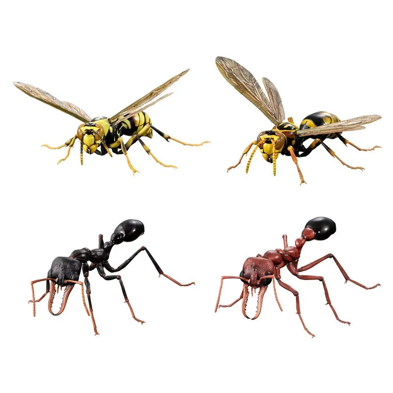 In Stock BANDAI Gashapon The Diversity of Life on Polistes rothneyi Myrmecia Model GACHA TOYS Big Biological Map Of
In Stock BANDAI Gashapon The Diversity of Life on Polistes rothneyi Myrmecia Model GACHA TOYS Big Biological Map Of