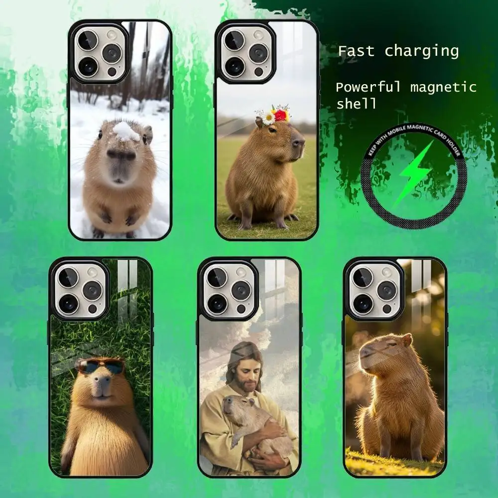 Capibara Phone Case For iPhone17,16,15,14,13 Plus,Pro Max Magnetic For Magsafe Wireless Charging
Capibara Phone Case For iPhone17,16,15,14,13 Plus,Pro Max Magnetic For Magsafe Wireless Charging