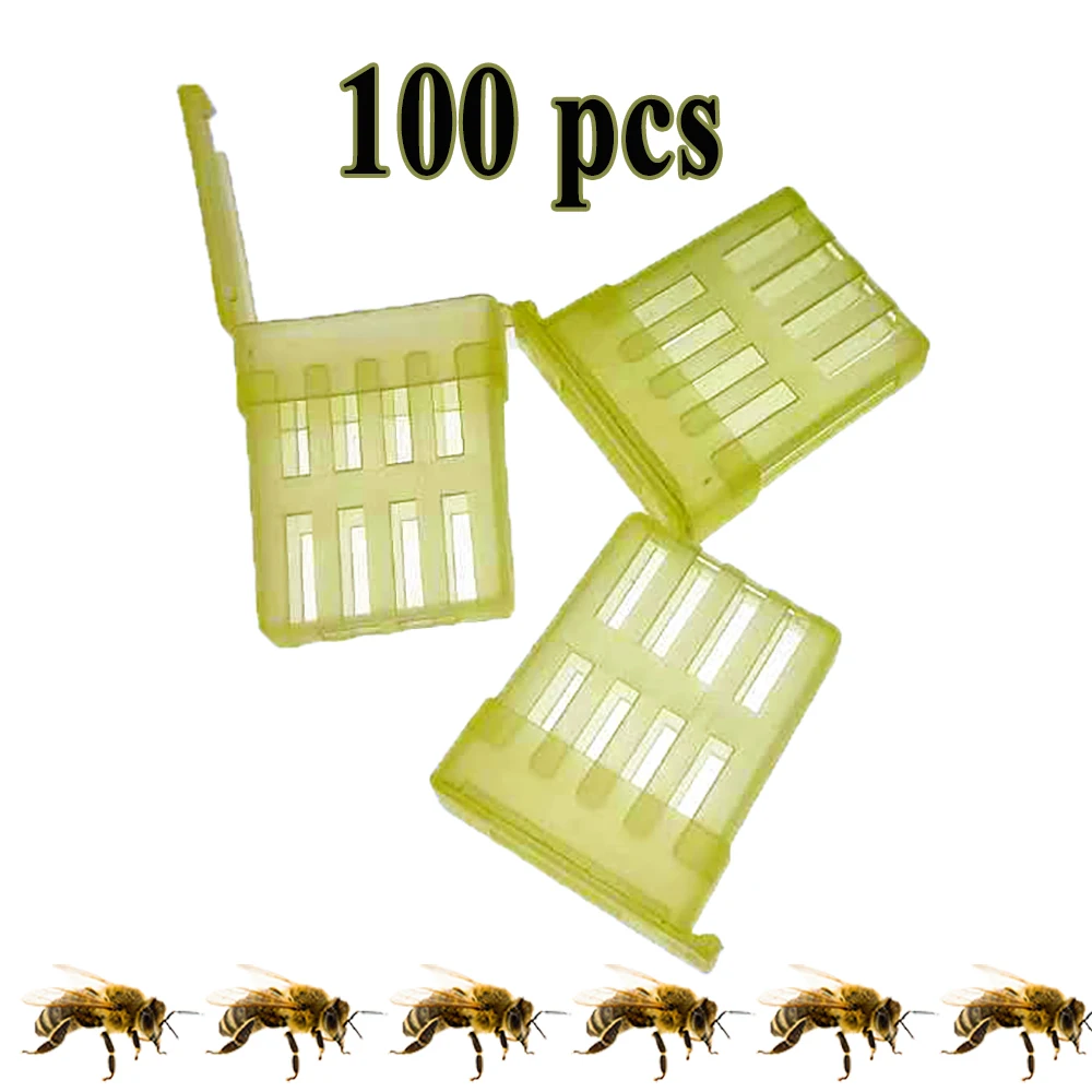 100PCS Imprison Queen Prisoner Catchers Raising Capture Colony Splitting Crown During Inspection Overwinter Catcher Queen Tools
100PCS Imprison Queen Prisoner Catchers Raising Capture Colony Splitting Crown During Inspection Overwinter Catcher Queen Tools