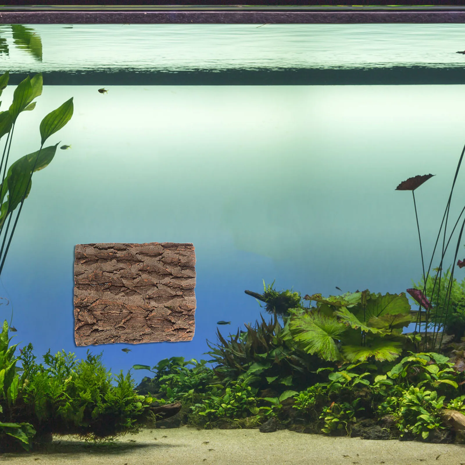 2pcs Cork Tile Background Bark Terrarium Backdrop Wall Decor Reptile Climbing Mat Habitat Decor For Fish Tank Wood Aquarium
2pcs Cork Tile Background Bark Terrarium Backdrop Wall Decor Reptile Climbing Mat Habitat Decor For Fish Tank Wood Aquarium