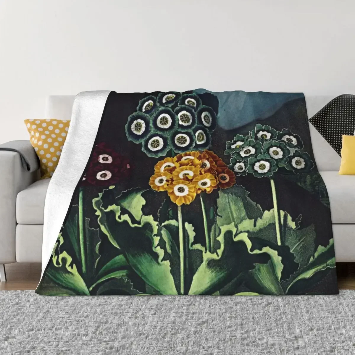 Botanical Art Temple Of Flora Auriculas Throw Blanket valentine gift ideas wednesday Multi-Purpose Blankets
Botanical Art Temple Of Flora Auriculas Throw Blanket valentine gift ideas wednesday Multi-Purpose Blankets