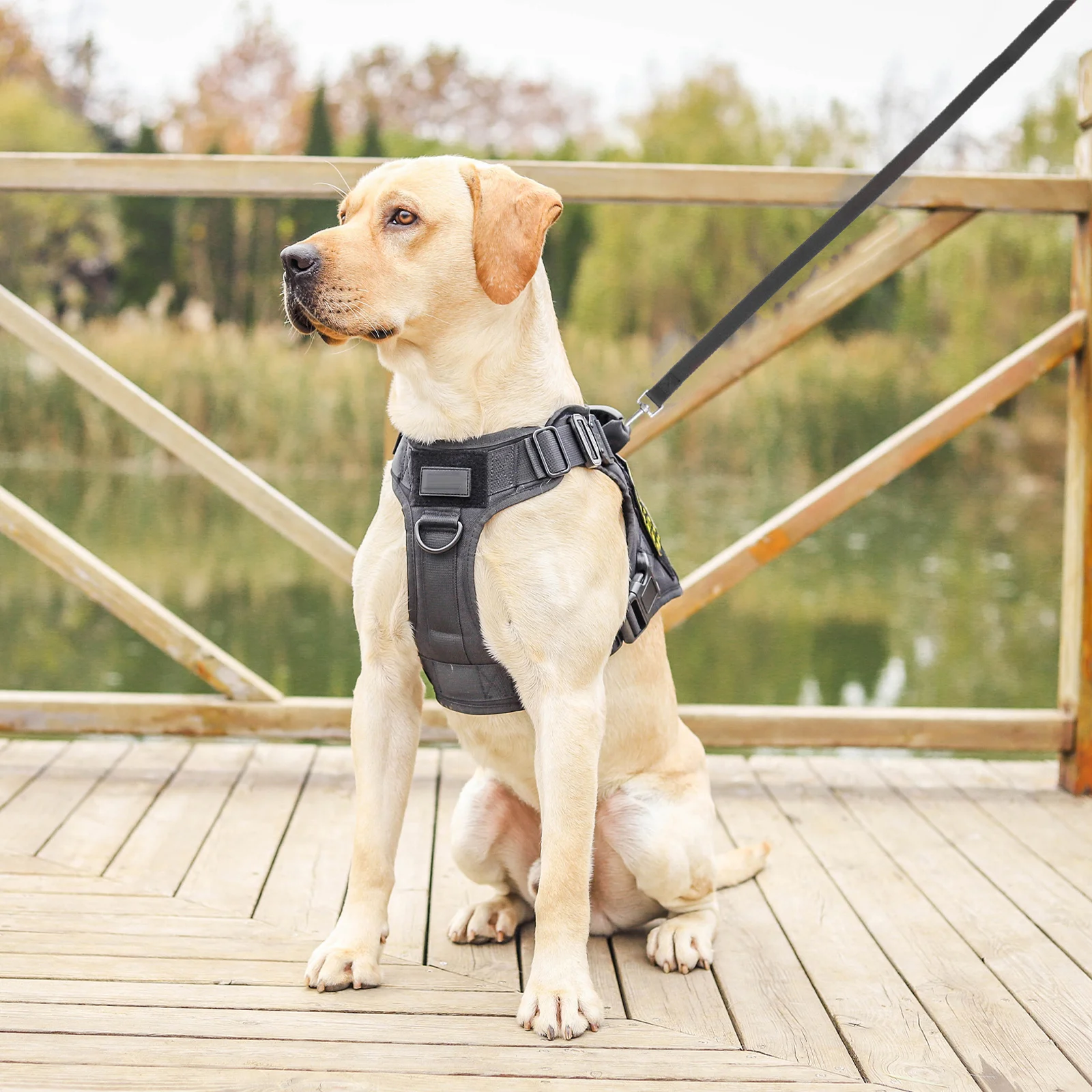 Nylon Tricephalous Dog Leash Black Real Mountain Climbing Rope Durable Comfortable Walking Jogging Running Hiking Training Lead
Nylon Tricephalous Dog Leash Black Real Mountain Climbing Rope Durable Comfortable Walking Jogging Running Hiking Training Lead