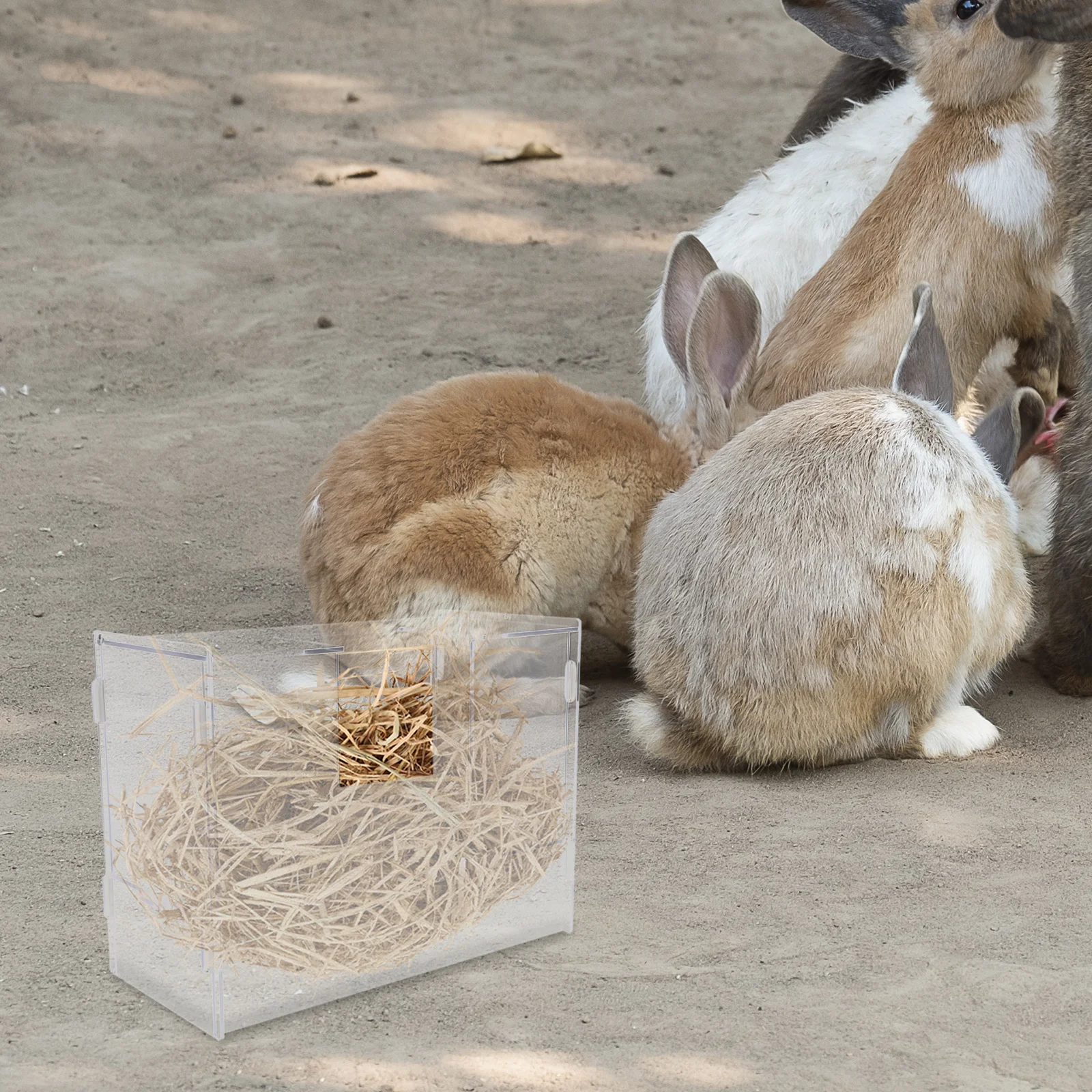 Rabbit Hay Feeder Acrylic Large Capacity Bunny Feed Groove Pet Feeding Station For Guinea Pigs Hamsters Small Animals
Rabbit Hay Feeder Acrylic Large Capacity Bunny Feed Groove Pet Feeding Station For Guinea Pigs Hamsters Small Animals