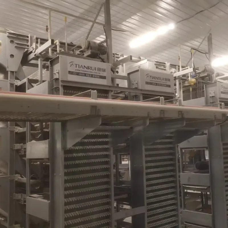 High Quality H-Type Automatic Chicken and Quail Egg Layer Cages New Condition Chicken Layer Cage for Sale
High Quality H-Type Automatic Chicken and Quail Egg Layer Cages New Condition Chicken Layer Cage for Sale