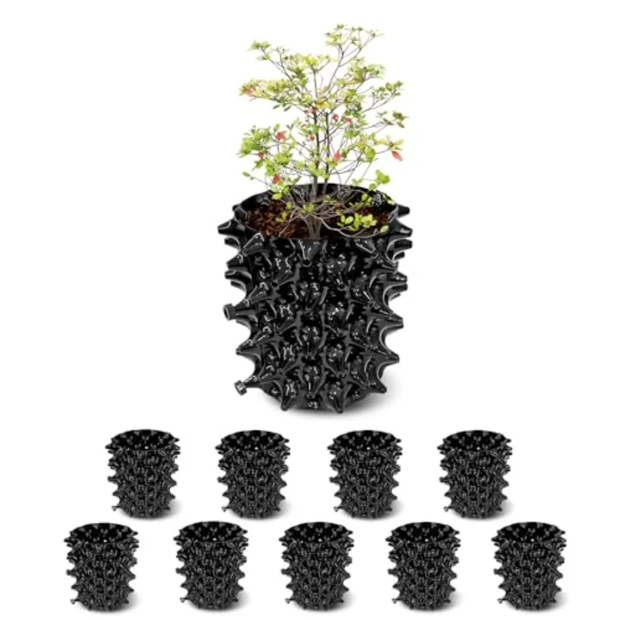 1 Gallon Air Pruning Containers, New Plastic Nursery Pots, Fruit Vegetable Garden Self-Planting Pots, Black 1G-10P
1 Gallon Air Pruning Containers, New Plastic Nursery Pots, Fruit Vegetable Garden Self-Planting Pots, Black 1G-10P