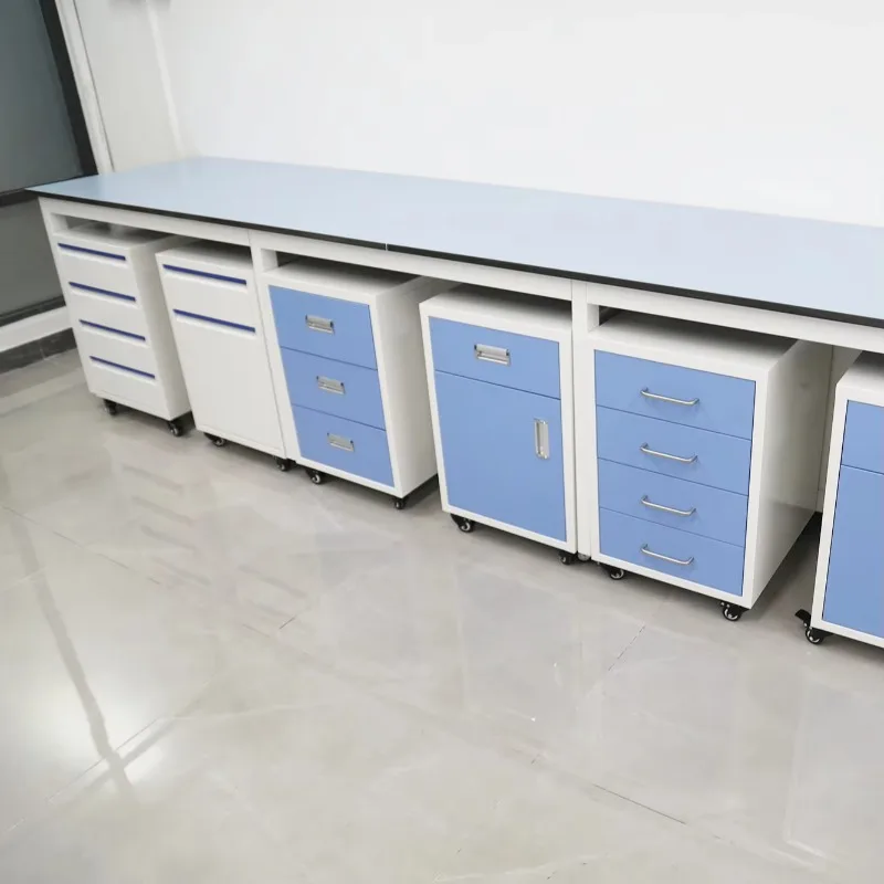 Mobile Lab Cabinets for Underneath Lab Bench All Steel Flexible Lab Furniture with Caster
Mobile Lab Cabinets for Underneath Lab Bench All Steel Flexible Lab Furniture with Caster