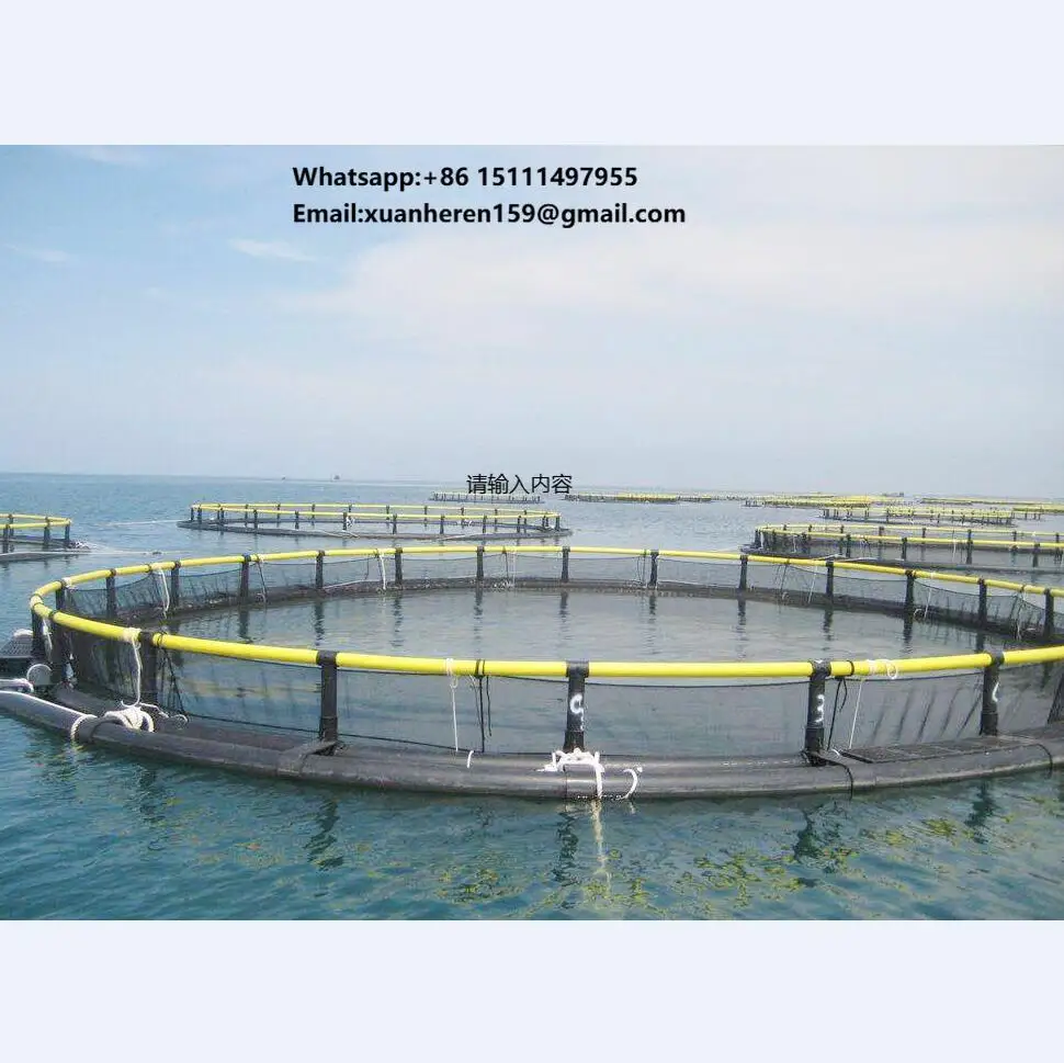 HDPE Bracket square Deep Sea Fish Farming Net Floating Cages
HDPE Bracket square Deep Sea Fish Farming Net Floating Cages